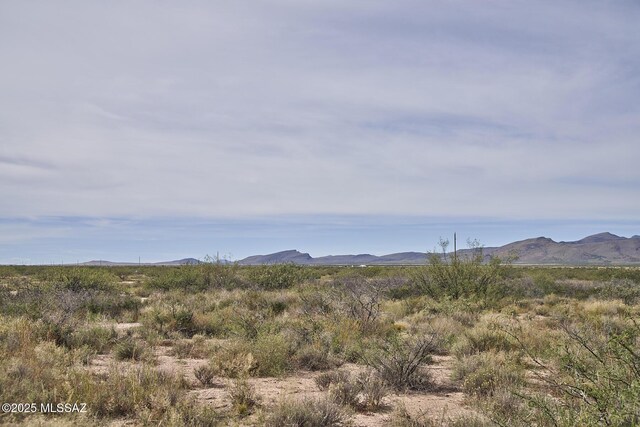 9010 E Many Wells Rd Unit 316, Portal, AZ 85632