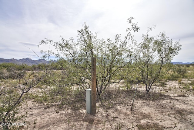 9010 E Many Wells Rd Unit 316, Portal, AZ 85632