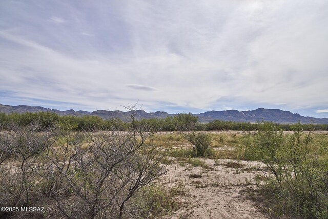 9010 E Many Wells Rd Unit 316, Portal, AZ 85632