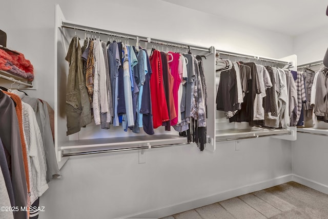 61672 E Talc St, Oracle, AZ 85623 - view of spacious closet