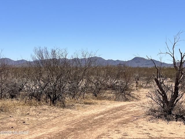 TBD W Flybuoy Ranch Rd, Marana, AZ 85653