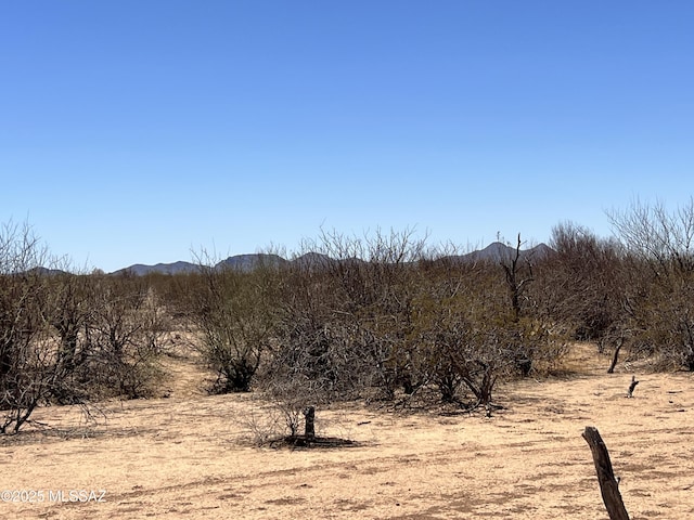 TBD W Flybuoy Ranch Rd, Marana, AZ 85653