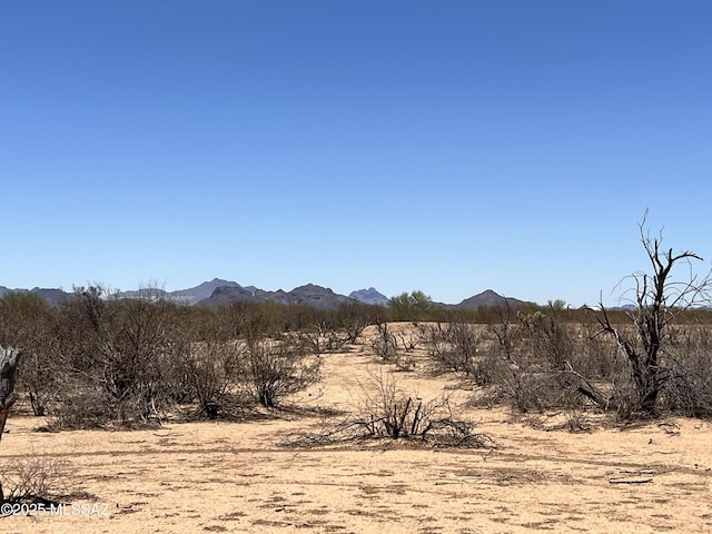 TBD W Flybuoy Ranch Rd, Marana, AZ 85653
