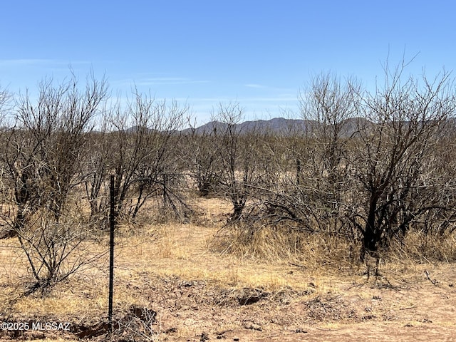 TBD W Flybuoy Ranch Rd, Marana, AZ 85653