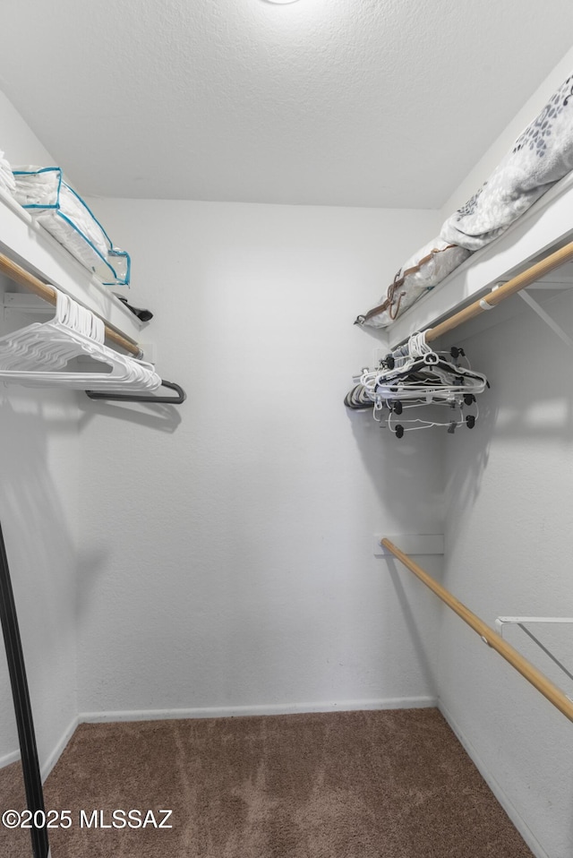 5051 N Sabino Canyon Rd Unit 2162, Tucson, AZ 85750 - walk in closet with carpet flooring