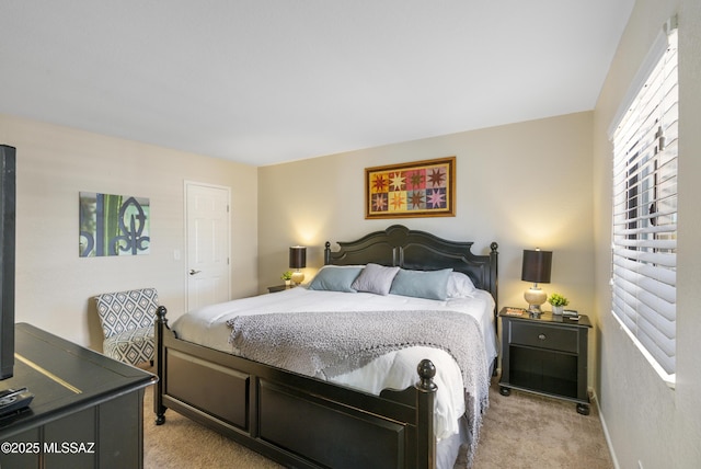 5051 N Sabino Canyon Rd Unit 2162, Tucson, AZ 85750 - bedroom featuring light colored carpet