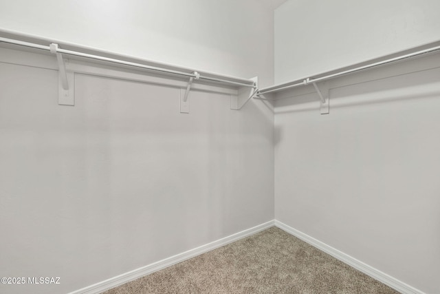 11358 W Folsom Point Dr, Marana, AZ 85658 - walk in closet with carpet