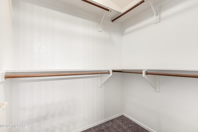 2649 W Catalina View Dr, Tucson, AZ 85742 - spacious closet featuring dark carpet