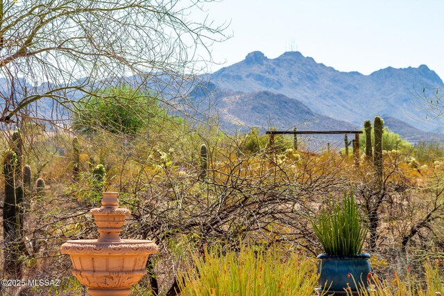 3740 W Placita Fantasia, Tucson, AZ 85745 - view of mountain backdrop