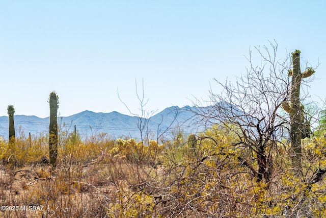 3740 W Placita Fantasia, Tucson, AZ 85745 - mountain view