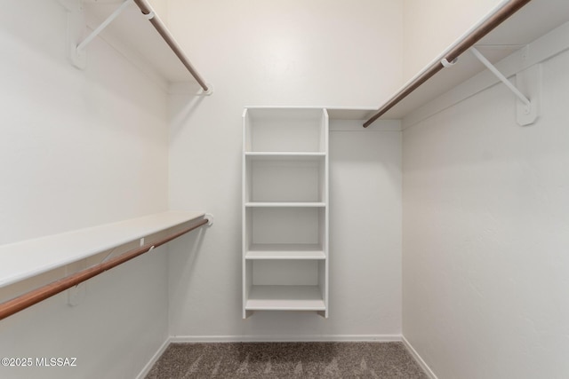 3252 W Flowering Cactus Ct, Tucson, AZ 85745 - spacious closet with dark colored carpet