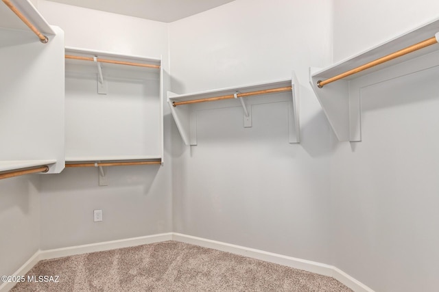 854 S Willis Ave, Vail, AZ 85641 - spacious closet with carpet floors