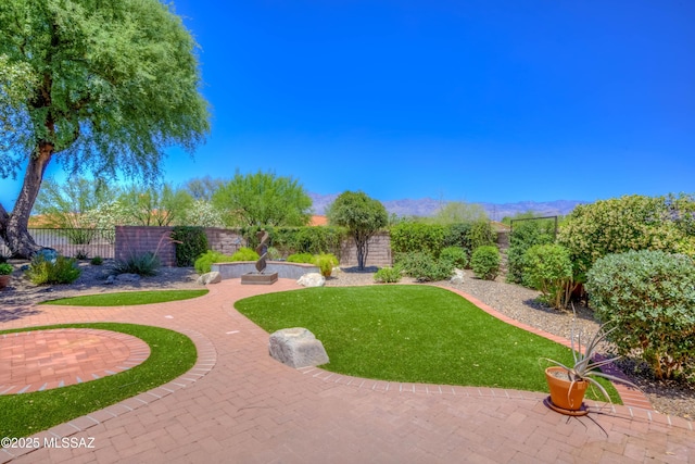 7275 E Vuelta Rancho Mesquite, Tucson, AZ 85715 - view of yard featuring a mountain view and a patio