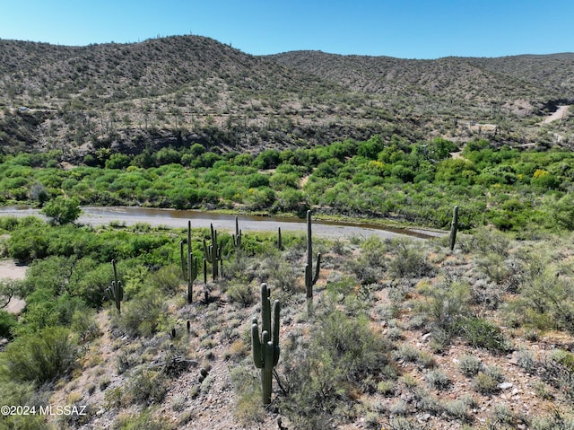 TBD E Aravaipa Vistas Rd Unit 20Acres, Dudleyville, AZ 85192