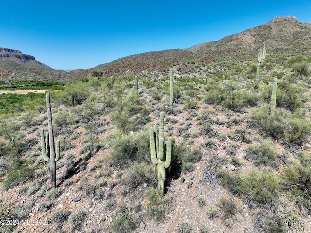 TBD E Aravaipa Vistas Rd Unit 20Acres, Dudleyville, AZ 85192