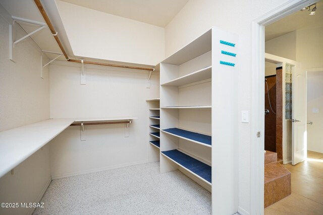 4210 S Santolina Ct, Sierra Vista, AZ 85650 - view of walk in closet