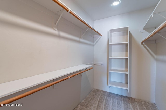 11315 N Mountain Meadow Pl, Oro Valley, AZ 85737 - walk in closet featuring carpet floors