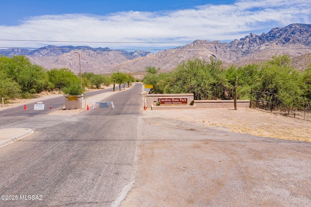 11315 N Mountain Meadow Pl, Oro Valley, AZ 85737 - view of mountain background