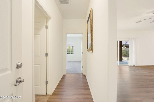 8880 W Blakebrook Rd, Marana, AZ 85653 - hall with wood finished floors and baseboards