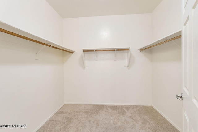 8880 W Blakebrook Rd, Marana, AZ 85653 - walk in closet with carpet flooring