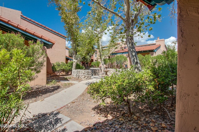 5357 N Paseo De La Terraza, Tucson, AZ 85750 - view of yard