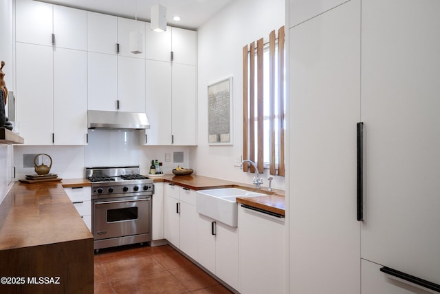 388 S Convent Ave, Tucson, AZ 85701 - kitchen featuring luxury stove, under cabinet range hood, a sink, white cabinets, and recessed lighting