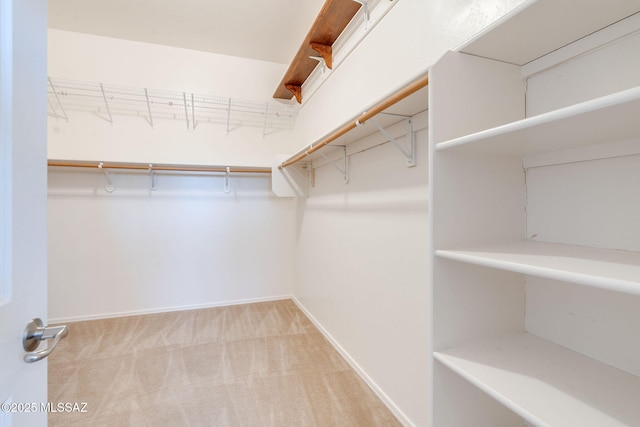 12970 N Topanga Dr, Tucson, AZ 85755 - spacious closet with carpet floors