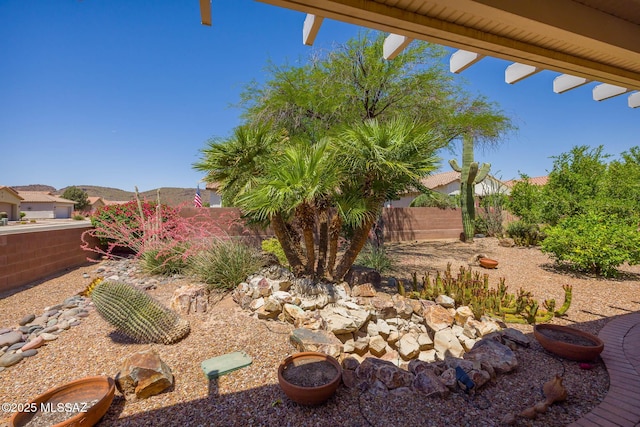 9345 N Cottage Garden Pl, Tucson, AZ 85743 - view of yard
