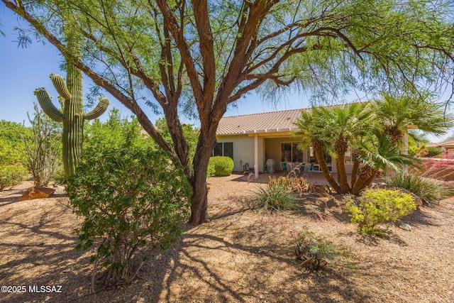 9345 N Cottage Garden Pl, Tucson, AZ 85743 - rear view of property with a patio, stucco siding, and a tile roof