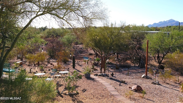 5475 E Placita De Royale, Tucson, AZ 85718 - view of yard with a mountain view