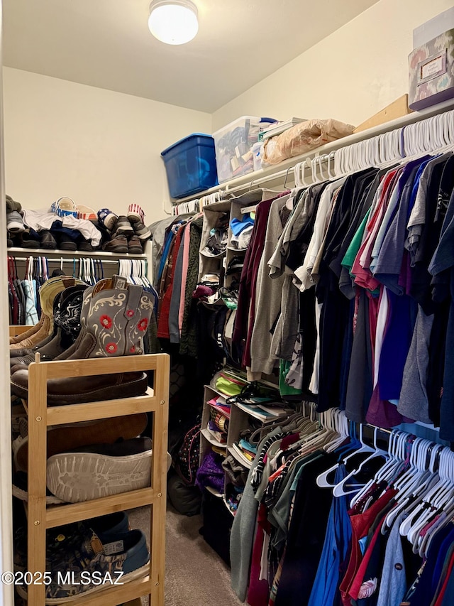 16038 S Camino Casal, Sahuarita, AZ 85629 - spacious closet featuring carpet