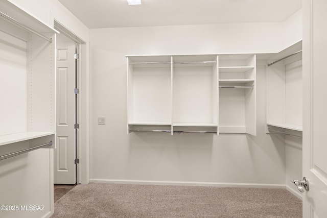 61050 E Amur Ln, Oracle, AZ 85623 - walk in closet featuring carpet floors