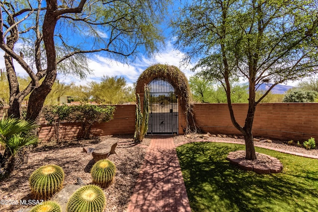 6945 N Mona Lisa Rd, Tucson, AZ 85741 - view of yard featuring a gate