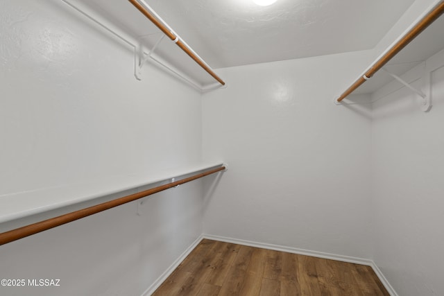 941 W Fox Ridge Ln, Oro Valley, AZ 85737 - walk in closet with wood finished floors