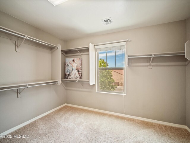 741 S Desert Haven Rd, Vail, AZ 85641 - walk in closet with carpet floors