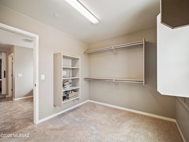 741 S Desert Haven Rd, Vail, AZ 85641 - spacious closet with carpet flooring