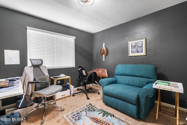 11370 E Creosote Range Dr, Tucson, AZ 85747 - office featuring carpet floors