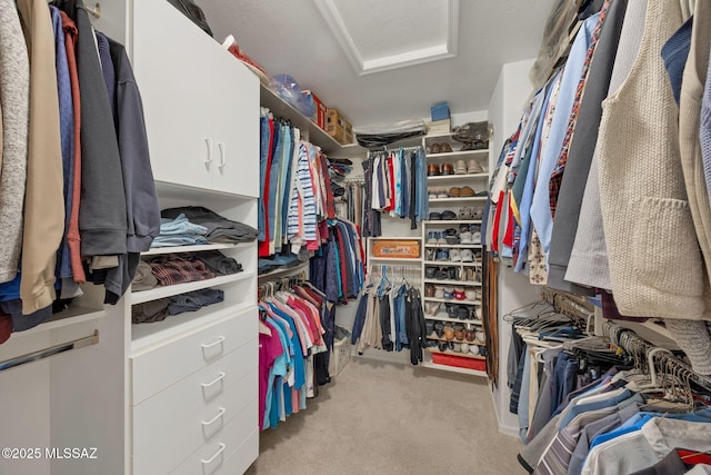 65535 E Rose Ridge Dr, Saddlebrooke, AZ 85739 - spacious closet with attic access and carpet flooring