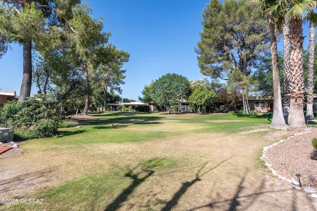 4736 N Calle Lampara, Tucson, AZ 85718 - view of grassy yard
