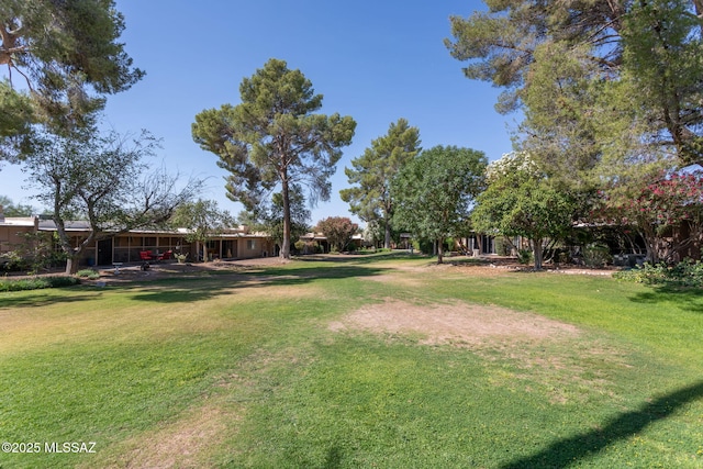 4736 N Calle Lampara, Tucson, AZ 85718 - view of green lawn