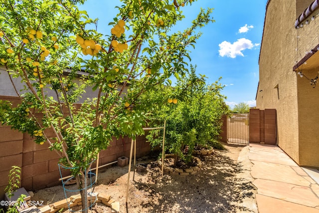 9569 N Sage Vista Ct, Tucson, AZ 85742 - view of yard featuring a gate