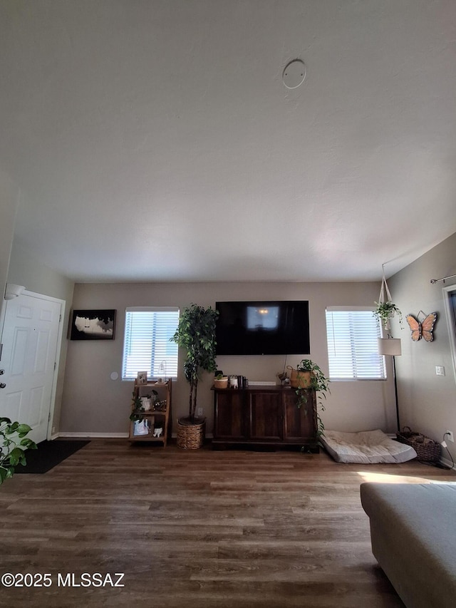 4396 S Valley Rd, Tucson, AZ 85714 - living room featuring wood finished floors and plenty of natural light