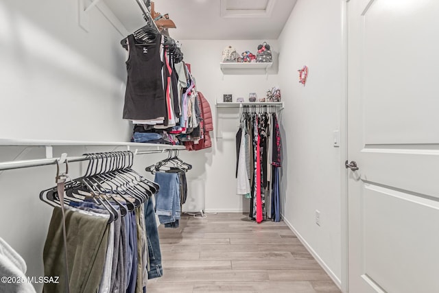 16800 S Paseo Las Vigas, Sahuarita, AZ 85629 - walk in closet with wood finished floors and attic access