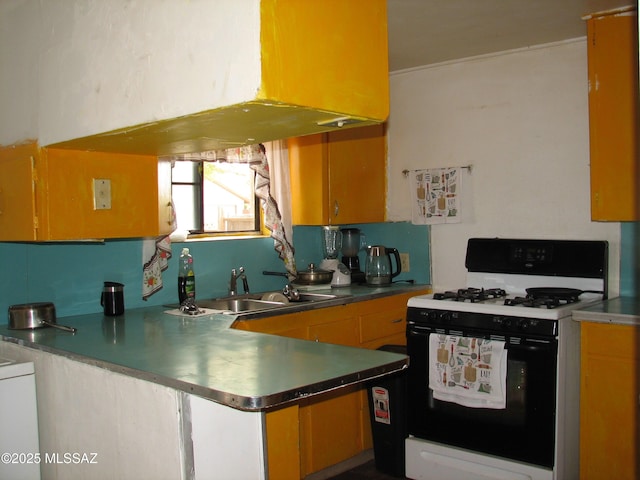 277 N Bowie Ave, Willcox, AZ 85643 - kitchen with stainless steel counters, gas range, and a sink