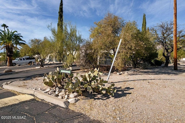 8069 E Cameo Cir, Tucson, AZ 85750 - view of yard