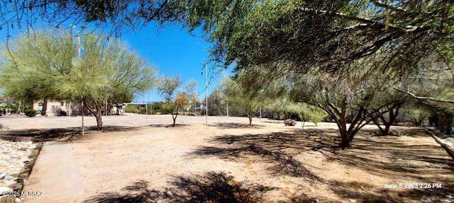 6335 N Barcelona Ln Unit 713, Tucson, AZ 85704 - view of yard