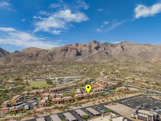 6651 N Campbell Ave Apt 221, Tucson, AZ 85718 - mountain view
