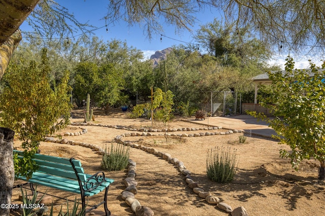 8628 N Placita Del Cardo, Tucson, AZ 85704 - view of yard with a patio area