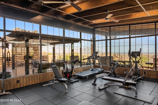 13935 Old Ranch House Rd, Marana, AZ 85658 - workout area featuring ceiling fan, healthy amount of natural light, and wood walls