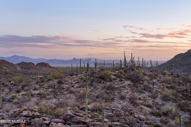 13935 Old Ranch House Rd, Marana, AZ 85658 - mountain view